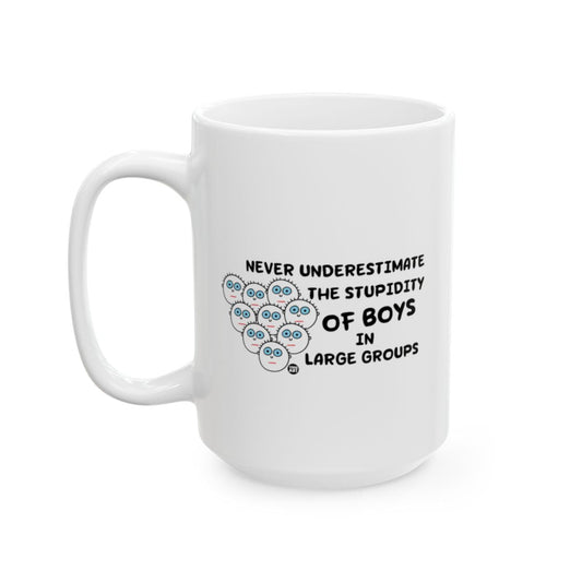 Never Underestimate the Stupidity of Boys Mug