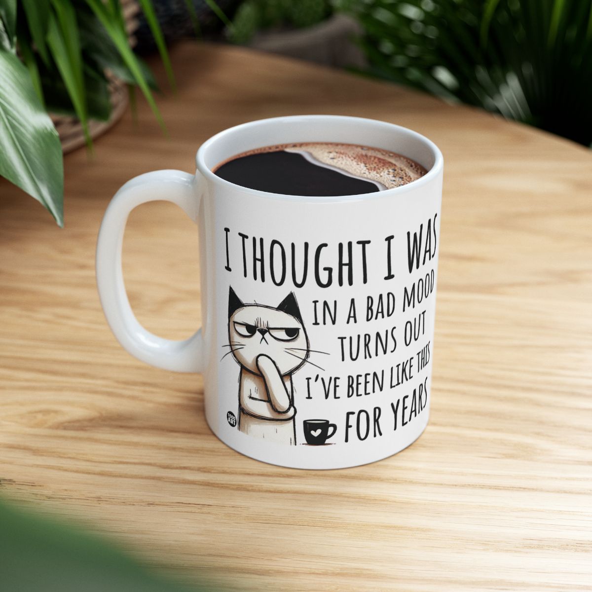 I Thought I Was In A Bad Mood Turns Out Mug