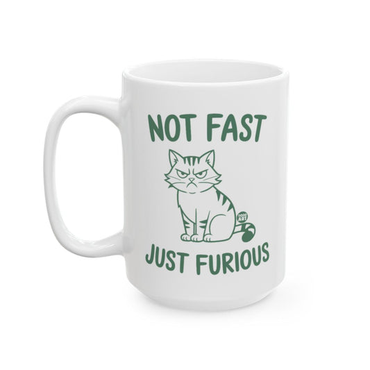 Not Fast Just Furious Funny Cat Mug Product